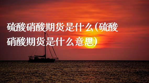 硫酸硝酸期货是什么(硫酸硝酸期货是什么意思)_https://www.zghnxxa.com_国际期货_第1张