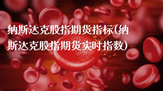 纳斯达克股指期货指标(纳斯达克股指期货实时指数)_https://www.zghnxxa.com_期货直播室_第1张