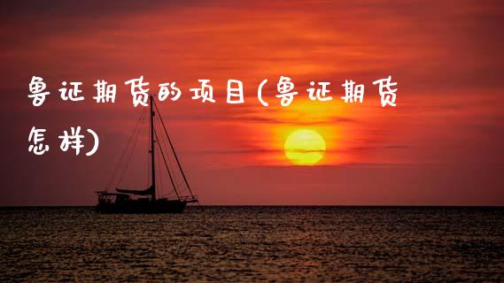 鲁证期货的项目(鲁证期货怎样)_https://www.zghnxxa.com_内盘期货_第1张