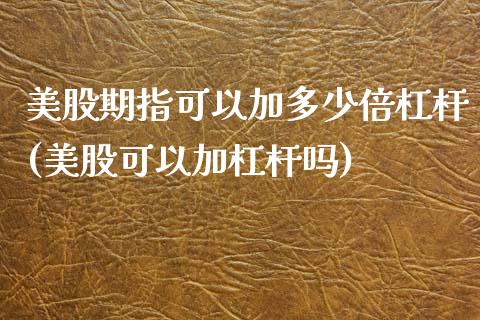 美股期指可以加多少倍杠杆(美股可以加杠杆吗)_https://www.zghnxxa.com_期货直播室_第1张
