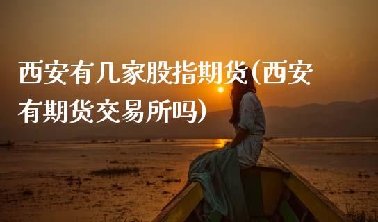 西安有几家股指期货(西安有期货交易所吗)_https://www.zghnxxa.com_期货直播室_第1张