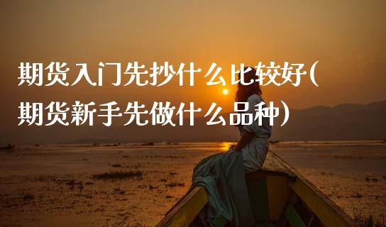 期货入门先抄什么比较好(期货新手先做什么品种)_https://www.zghnxxa.com_黄金期货_第1张
