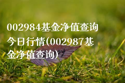 002984基金净值查询今日行情(002987基金净值查询)_https://www.zghnxxa.com_国际期货_第1张