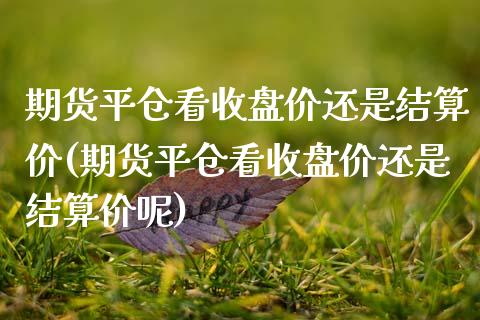 期货平仓看收盘价还是结算价(期货平仓看收盘价还是结算价呢)_https://www.zghnxxa.com_内盘期货_第1张