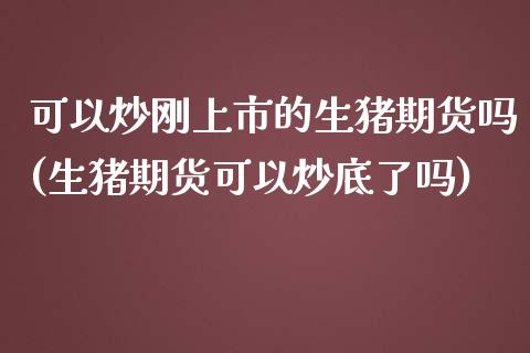 可以炒刚上市的生猪期货吗(生猪期货可以炒底了吗)_https://www.zghnxxa.com_国际期货_第1张