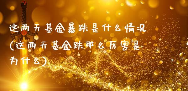 这两天基金暴跌是什么情况(这两天基金跌那么厉害是为什么)_https://www.zghnxxa.com_内盘期货_第1张