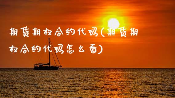 期货期权合约代码(期货期权合约代码怎么看)_https://www.zghnxxa.com_黄金期货_第1张