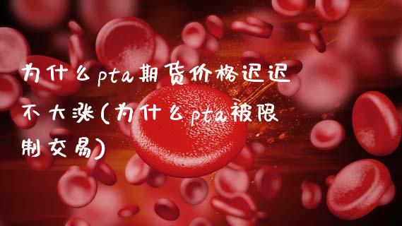 为什么pta期货价格迟迟不大涨(为什么pta被限制交易)_https://www.zghnxxa.com_期货直播室_第1张