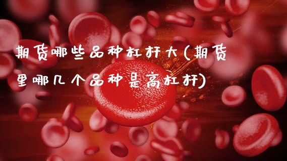 期货哪些品种杠杆大(期货里哪几个品种是高杠杆)_https://www.zghnxxa.com_期货直播室_第1张