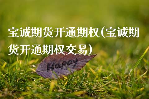 宝诚期货开通期权(宝诚期货开通期权交易)_内盘期货_第1张_期货直播室 宝诚期货开通期权(宝诚期货开通期权交易)_https://www.zghnxxa.com_内盘期货_第1张