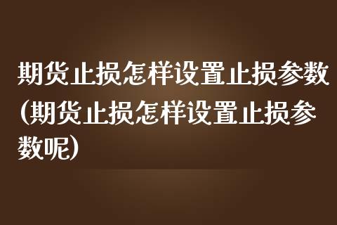 期货止损怎样设置止损参数(期货止损怎样设置止损参数呢)_https://www.zghnxxa.com_期货直播室_第1张