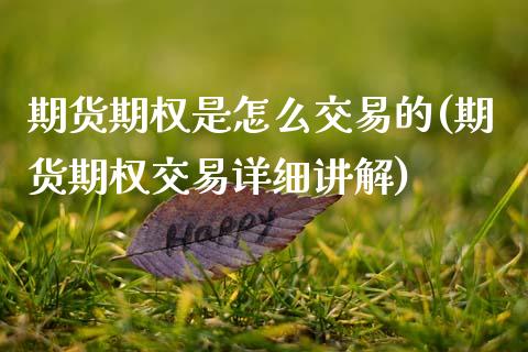 期货期权是怎么交易的(期货期权交易详细讲解)_内盘期货_第1张_期货直播室 期货期权是怎么交易的(期货期权交易详细讲解)_https://www.zghnxxa.com_内盘期货_第1张