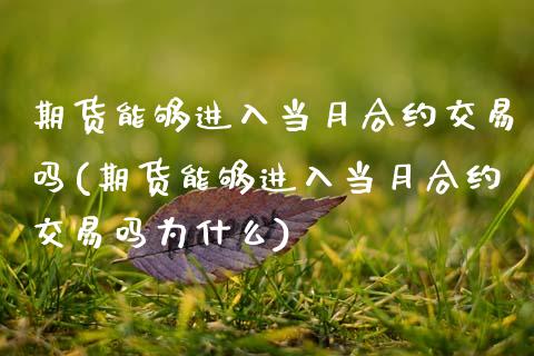 期货能够进入当月合约交易吗(期货能够进入当月合约交易吗为什么)_https://www.zghnxxa.com_期货直播室_第1张
