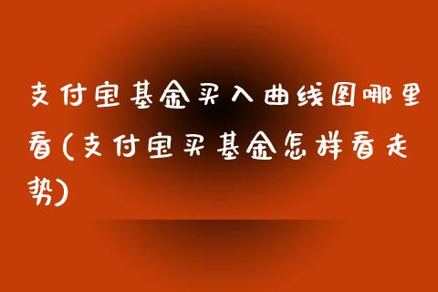 支付宝基金买入曲线图哪里看(支付宝买基金怎样看走势)_https://www.zghnxxa.com_国际期货_第1张