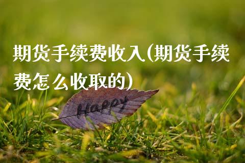 期货手续费收入(期货手续费怎么收取的)_https://www.zghnxxa.com_内盘期货_第1张