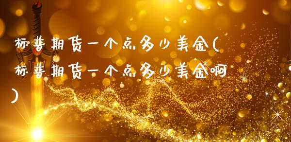 标普期货一个点多少美金(标普期货一个点多少美金啊)_https://www.zghnxxa.com_国际期货_第1张