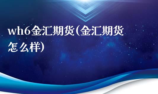 wh6金汇期货(金汇期货怎么样)_https://www.zghnxxa.com_内盘期货_第1张