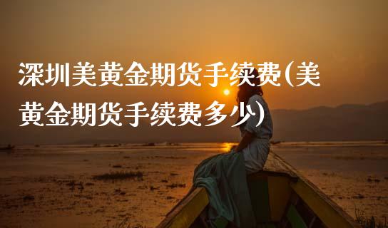 深圳美黄金期货手续费(美黄金期货手续费多少)_https://www.zghnxxa.com_国际期货_第1张