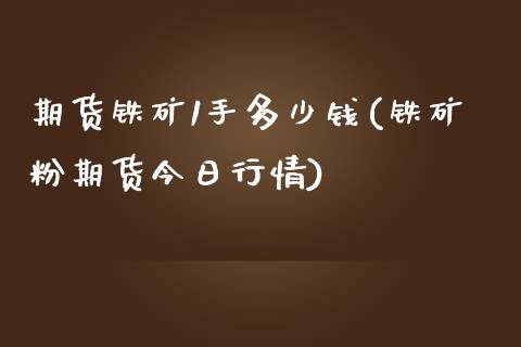 期货铁矿1手多少钱(铁矿粉期货今日行情)_https://www.zghnxxa.com_国际期货_第1张