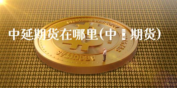 中延期货在哪里(中椼期货)_https://www.zghnxxa.com_黄金期货_第1张
