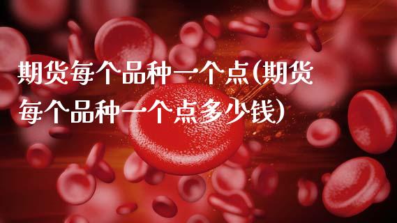 期货每个品种一个点(期货每个品种一个点多少钱)_https://www.zghnxxa.com_期货直播室_第1张