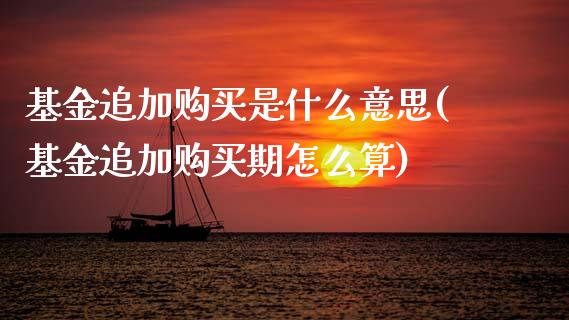 基金追加购买是什么意思(基金追加购买期怎么算)_https://www.zghnxxa.com_期货直播室_第1张