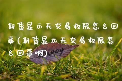 期货显示无交易权限怎么回事(期货显示无交易权限怎么回事啊)_https://www.zghnxxa.com_内盘期货_第1张