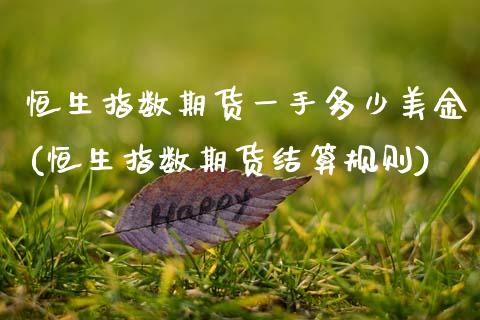 恒生指数期货一手多少美金(恒生指数期货结算规则)_https://www.zghnxxa.com_内盘期货_第1张