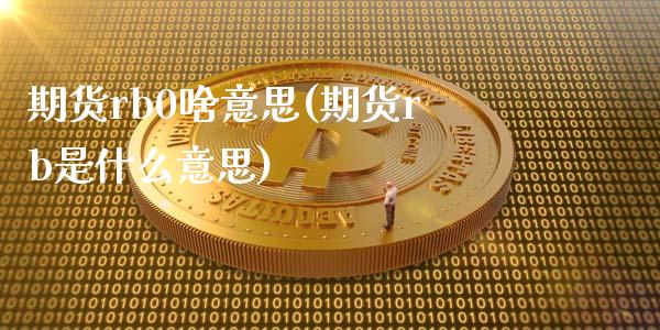 期货rb0啥意思(期货rb是什么意思)_https://www.zghnxxa.com_内盘期货_第1张