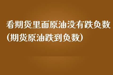 看期货里面原油没有跌负数(期货原油跌到负数)_https://www.zghnxxa.com_黄金期货_第1张