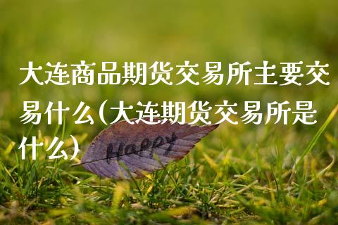 大连商品期货交易所主要交易什么(大连期货交易所是什么)_https://www.zghnxxa.com_期货直播室_第1张