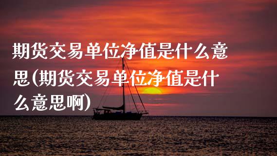 期货交易单位净值是什么意思(期货交易单位净值是什么意思啊)_https://www.zghnxxa.com_内盘期货_第1张