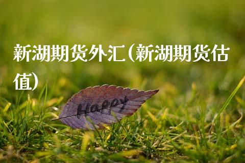 新湖期货外汇(新湖期货估值)_https://www.zghnxxa.com_内盘期货_第1张