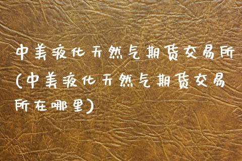 中美液化天然气期货交易所(中美液化天然气期货交易所在哪里)_https://www.zghnxxa.com_国际期货_第1张