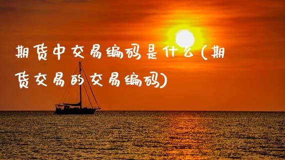 期货中交易编码是什么(期货交易的交易编码)_黄金期货_第1张_期货直播室 期货中交易编码是什么(期货交易的交易编码)_https://www.zghnxxa.com_黄金期货_第1张