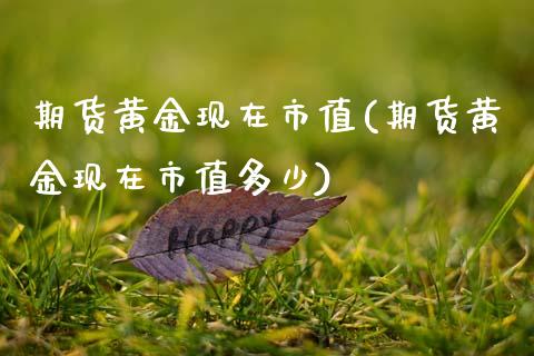 期货黄金现在市值(期货黄金现在市值多少)_黄金期货_第1张_期货直播室 期货黄金现在市值(期货黄金现在市值多少)_https://www.zghnxxa.com_黄金期货_第1张