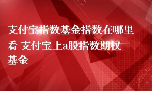 支付宝指数基金指数在哪里看 支付宝上a股指数期权基金_https://www.zghnxxa.com_期货直播室_第1张