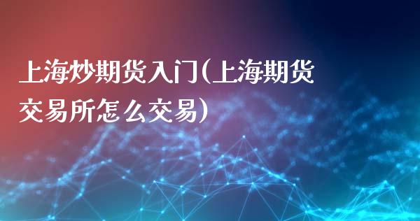 上海炒期货入门(上海期货交易所怎么交易)_https://www.zghnxxa.com_内盘期货_第1张