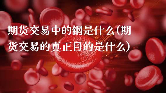 期货交易中的钢是什么(期货交易的真正目的是什么)_国际期货_第1张_期货直播室 期货交易中的钢是什么(期货交易的真正目的是什么)_https://www.zghnxxa.com_国际期货_第1张