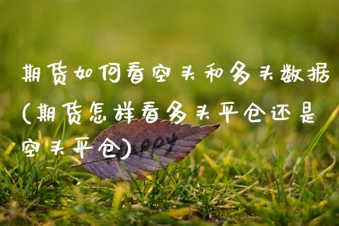 期货如何看空头和多头数据(期货怎样看多头平仓还是空头平仓)_内盘期货_第1张_期货直播室 期货如何看空头和多头数据(期货怎样看多头平仓还是空头平仓)_https://www.zghnxxa.com_内盘期货_第1张