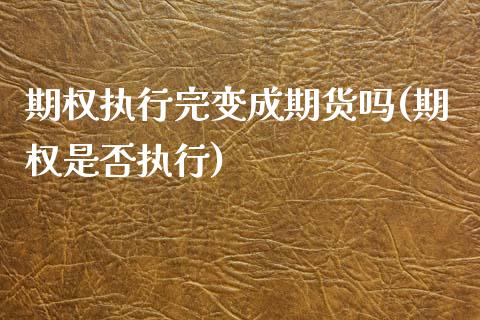 期权执行完变成期货吗(期权是否执行)_https://www.zghnxxa.com_期货直播室_第1张