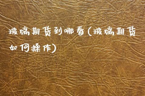 玻璃期货到哪看(玻璃期货如何操作)_https://www.zghnxxa.com_内盘期货_第1张
