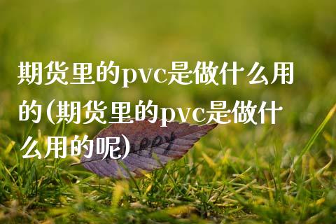 期货里的pvc是做什么用的(期货里的pvc是做什么用的呢)_国际期货_第1张_期货直播室 期货里的pvc是做什么用的(期货里的pvc是做什么用的呢)_https://www.zghnxxa.com_国际期货_第1张