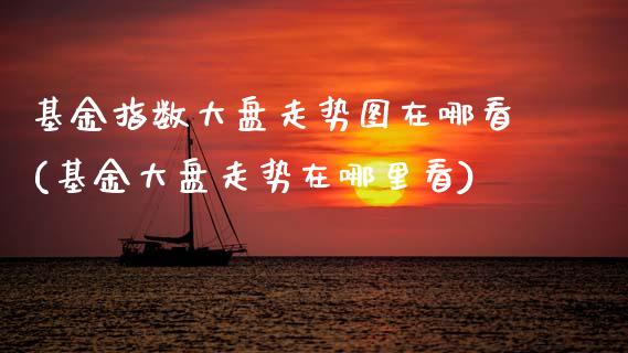 基金指数大盘走势图在哪看(基金大盘走势在哪里看)_https://www.zghnxxa.com_期货直播室_第1张