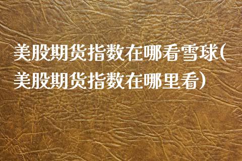 美股期货指数在哪看雪球(美股期货指数在哪里看)_https://www.zghnxxa.com_国际期货_第1张