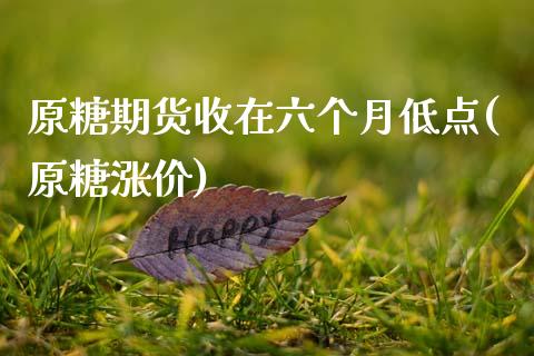 原糖期货收在六个月低点(原糖涨价)_https://www.zghnxxa.com_国际期货_第1张