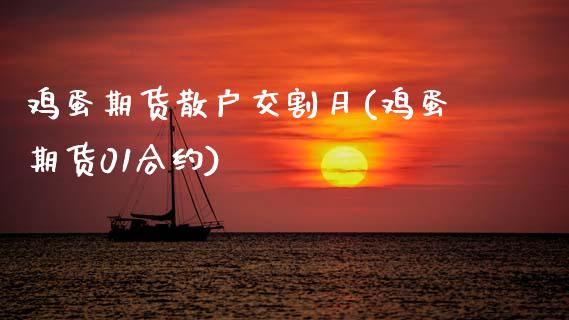 鸡蛋期货散户交割月(鸡蛋期货01合约)_https://www.zghnxxa.com_内盘期货_第1张