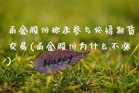 甬金股份称未参与伦镍期货交易(甬金股份为什么不涨)_https://www.zghnxxa.com_国际期货_第1张