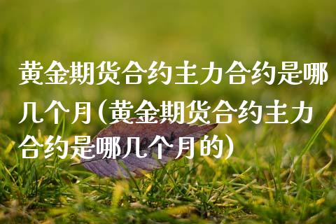 黄金期货合约主力合约是哪几个月(黄金期货合约主力合约是哪几个月的)_https://www.zghnxxa.com_期货直播室_第1张
