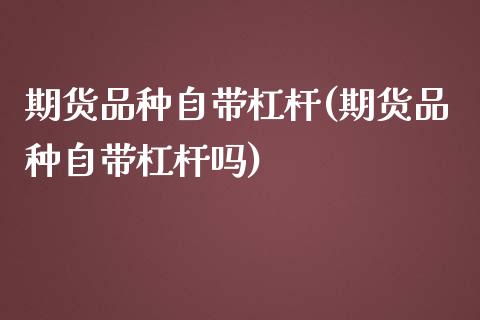 期货品种自带杠杆(期货品种自带杠杆吗)_https://www.zghnxxa.com_内盘期货_第1张